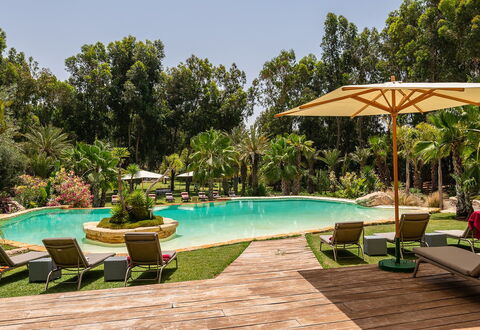 Le Jardin Mogador: Arbre, Piscine, Recours, Jardin, Eco Hôtel, Aménagement Paysager, Ombre, Hacienda, Biens