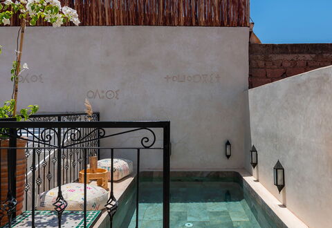 Riad Ali: Composite, Piscine, Tuile, Pot De Fleur, Plante D'Appartement, Cour, Caractéristique De L'Eau, Dalle