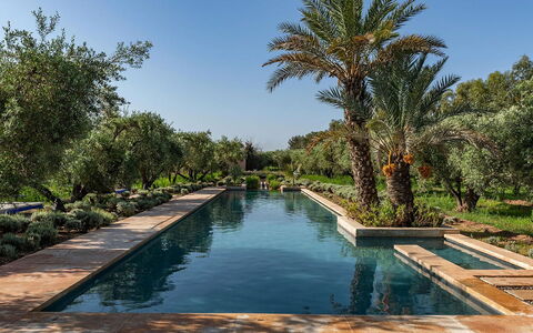 Dar Moon: L'Eau, Piscine, Réflexion, Jardin, Recours, Miroir D'Eau, Caractéristique De L'Eau, Hacienda, Aménagement Paysager, Biens