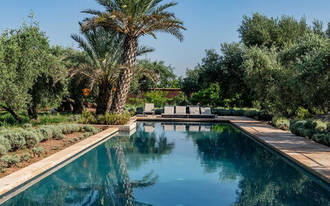 Dar Moon: Piscine, Réflexion, Recours, Jardin, Miroir D'Eau, Hacienda, Aménagement Paysager, Biens, Caractéristique De L'Eau
