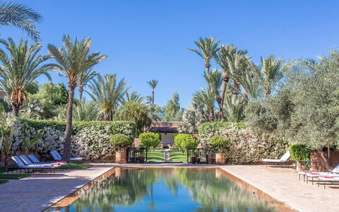 Villa Exotic: Piscine, Recours, Réflexion, Hacienda, Mobilier De Jardin, Jardin, Eco Hôtel, Miroir D'Eau, Biens