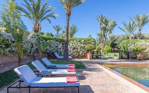 Villa Exotic: Piscine, Recours, Mobilier De Jardin, Jardin, Aménagement Paysager, Eco Hôtel, Hacienda, Ombre, Balancelle