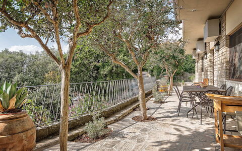 Cortona Deluxe: Ombre, Mobilier De Jardin, Dalle, Pot De Fleur, Chaise, Plante D'Appartement, Porche, Clôture, Balcon, Arrière-Cour