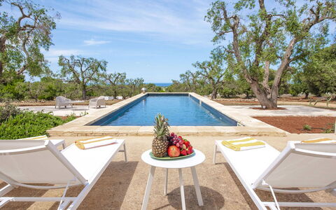 Villa Il Guaceto: Meubles, Piscine, Mobilier De Jardin, Recours, Chaise, Ombre, Balancelle, Villa, Hôtel