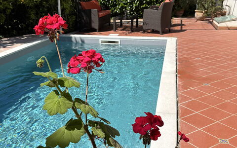 Villa Ava: Pot De Fleur, Piscine, Jardin, Ombre, Plante D'Appartement, Aménagement Paysager, Arrière-Cour, Cour, Caractéristique De L'Eau