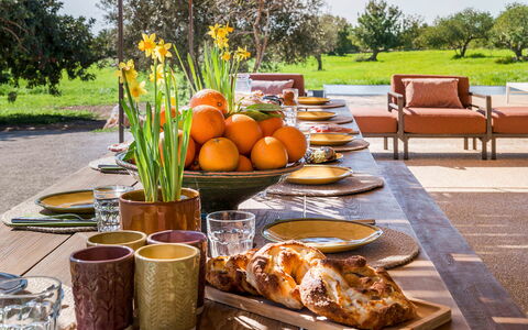 Villa del Sole: Vaisselle, Meubles, Aliments, Table, Serveware, Fruit, Pot De Fleur, Vaisselle, Drinkware, Assiette