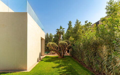 Villa Hamza: Arbuste, Jardin, Aménagement Paysager, Biens, Ombre, Conception, Arrière-Cour, Cour, Villa, Hacienda