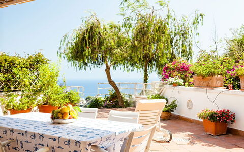 Casa Dorothea 1: Fleur, Meubles, Pot De Fleur, Table, Chaise, Plante D'Appartement, Balcon, Mobilier De Jardin, Tableau De Plein Air