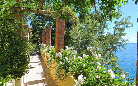Casa la Riva: Fleur, Arbuste, Printemps, Jardin, Famille Rose, Clôture, Jardin Botanique
