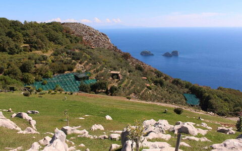 The Sea Farmhouse: Roche, Mer, Terrain, Cotiers Et Relief Océaniques, Côte, Océan, Station De Montagne, Promontoire, Promontoire
