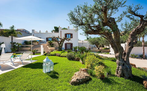 Villa la Pigna: Jardin, Arbuste, Aménagement Paysager, Biens, Hacienda, Ombre, Cour, Pelouse, Recours