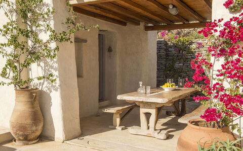 Villa Mycenaean: Pot De Fleur, Meubles, Jardin, Dalle, Plante D'Appartement, Mobilier De Jardin, Aménagement Paysager, Arrière-Cour, Patio