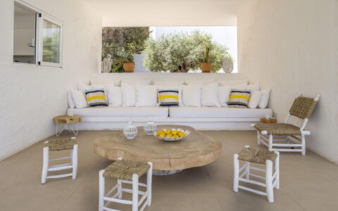 Can Las Palmas: Meubles, Chaise, Mobilier De Jardin, Matériau Naturel, Canapé, Salon, Conception, Plante D'Appartement, Table Basse