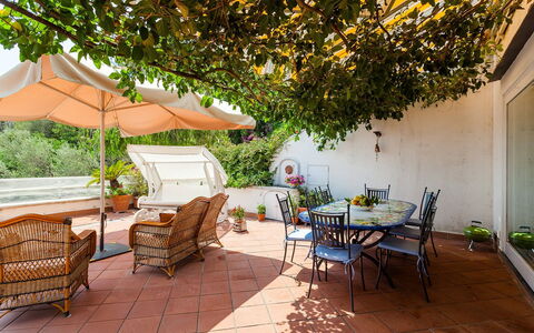 Casa Dorothea 3: Meubles, Pot De Fleur, Table, Chaise, Mobilier De Jardin, Plante D'Appartement, Tableau De Plein Air, Jardin, Table Cuisine Et Salle A Manger, Patio