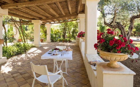 Green Villa: Meubles, Table, Chaise, Pot De Fleur, Jardin, Table Cuisine Et Salle A Manger, Plante D'Appartement, Dalle, Ombre, Recours