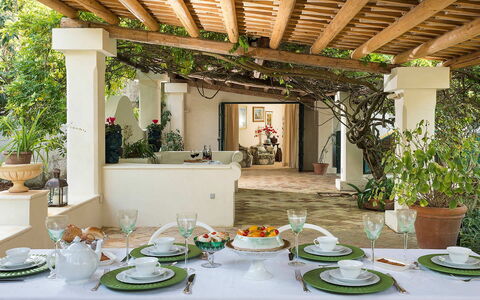 Green Villa: Meubles, Table, Design Intérieur, Chaise, Pot De Fleur, Plafond, Table Cuisine Et Salle A Manger, Plante D'Appartement, Salle À Manger, Restaurant