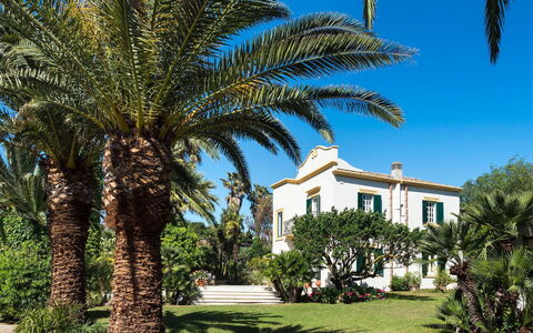 Green Villa: Bleu, Arbre, Végétation, Suppression Des Plantes Ligneuses, Ombre, Aménagement Paysager, Tropiques