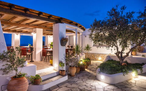 Guest House Levantes: Pot De Fleur, Domicile, Chaise, Plante D'Appartement, Recours, Patio, Jardin, Biens, Cour, Hacienda