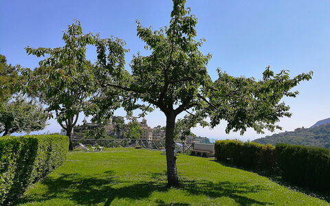 Il Giardino di Ravello: Feuille, Branche, Arbre, Végétation, Arbuste, Communauté Des Plantes, Printemps, Tronc, Jardin, Suppression Des Plantes Ligneuses