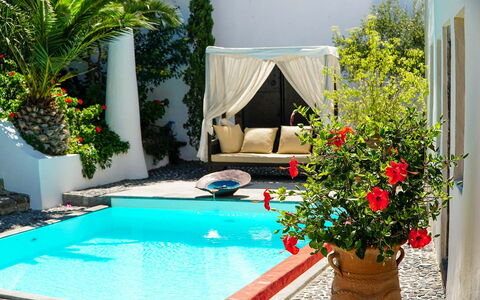 Mansion Sophia: Piscine, Pot De Fleur, Recours, Eco Hôtel, Mobilier De Jardin, Plante D'Appartement, Ombre, Loisir, Jardin