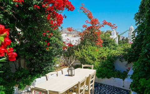 Mansion Sophia: Fleur, Arbuste, Pot De Fleur, Jardin, Printemps, Plante D'Appartement, Ombre, Chaise, Cour
