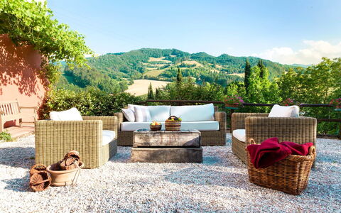 Villa Beatrice: Meubles, Mobilier De Jardin, Osier, Chaise, Pot De Fleur, Canapé, Jardin, Coussin, Patio
