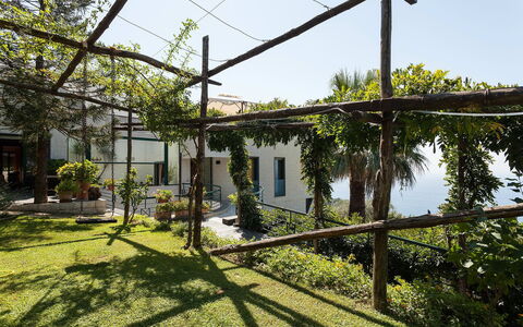 Villa Felicia: Ombre, Jardin, Arrière-Cour, Cour, Aménagement Paysager, Hacienda, Pergola, Structure En Plein Air, Cour, Daylighting
