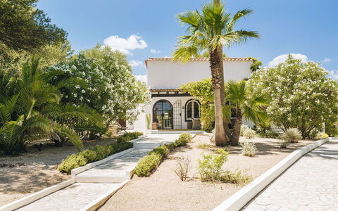 Villa Gold: Arbuste, Domicile, Biens, Hacienda, Jardin, Allée, Ombre, Aménagement Paysager, Villa