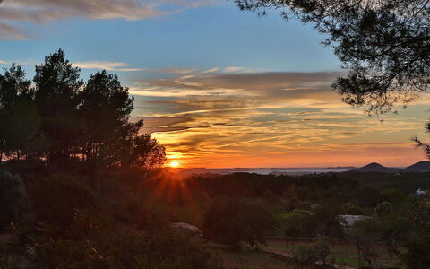 Villa Gold: Ciel, Photographier, La Nature, Afterglow, Branche, Feuille, Environnement Naturel, Le Coucher Du Soleil, Crépuscule, Beauté
