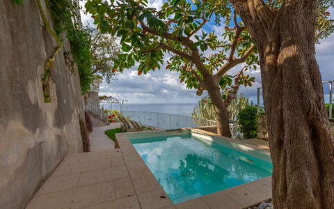 Villa Magnolia: Mer, Piscine, Océan, Côte, Recours, Loisir, Vacances, Ombre, Tropiques, Eco Hôtel