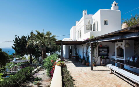 Villa Oasis: Pot De Fleur, Balcon, Plante D'Appartement, Chaise, Recours, Villa, Eco Hôtel, Hacienda, Mobilier De Jardin