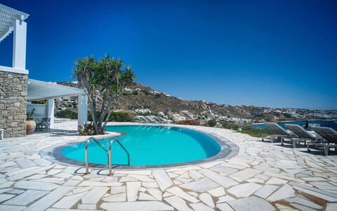 Villa Rose 1: Bleu, Piscine, Recours, Mobilier De Jardin, Eco Hôtel, Hôtel, Côte, Ville Resort, Tropiques, Villa