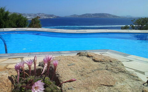 Villa Rose 1: Bleu, L'Eau, Piscine, Mobilier De Jardin, Recours, Côte, Tropiques, Ombre, Ville Resort, Eco Hôtel