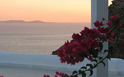 Villa Rose 1