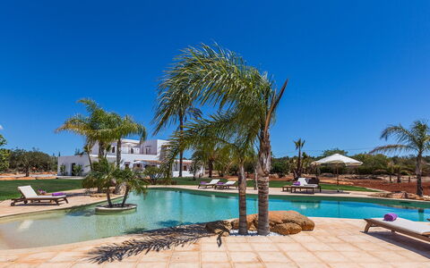 Villa Violet: Arbre, Piscine, Recours, Hacienda, Aménagement Paysager, Biens, Eco Hôtel, Ombre, Villa