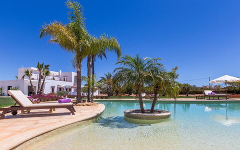 Villa Violet: Piscine, Recours, Hacienda, Eco Hôtel, Aménagement Paysager, Jardin, Villa, Ville Resort, Ombre