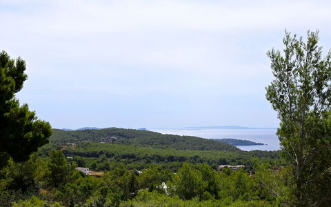 Villa Zenith: Ciel, Bleu, Feuille, La Nature, Végétation, Horizon, Paysage Naturel, Écorégion, Communauté Des Plantes, Forêt