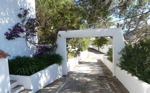 Villa Roxy: Arbuste, Jardin, Ombre, Aménagement Paysager, Béton, Conception, Passerelle, Hacienda, Arrière-Cour