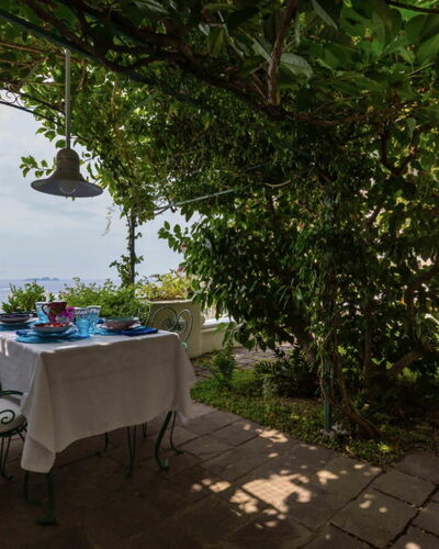 Villa Olivia