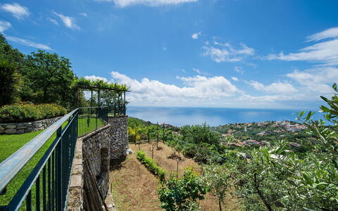 Villa Tortuga: Horizon, Paysage, Mer, Océan, Clôture, Stock Photographie