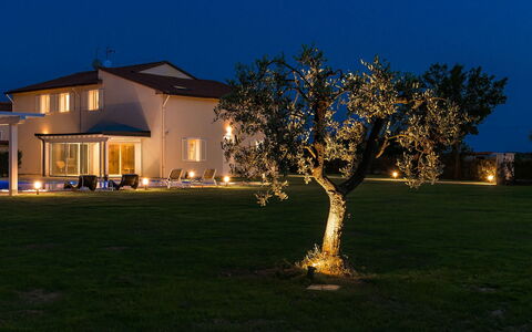 Villa Monsummano: Bleu, Domicile, Jardin, Pelouse, Crépuscule, Soirée, Cour, Biens, Nuit, Arrière-Cour