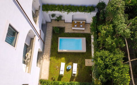 Jacaranda House: Appartement, Piscine, Domicile, Cour, Biens, Conception, Aménagement Paysager, Hôtel, Cour, Arrière-Cour