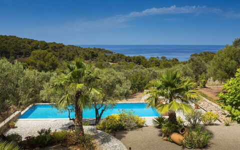 Villa Mallorca: Bleu, Tropiques, Côte, Piscine, Recours, Baie, Eco Hôtel, Caraïbes