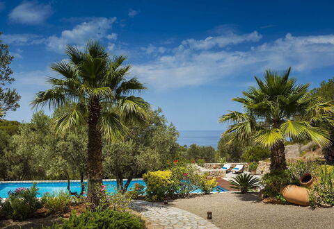 Villa Mallorca: Bleu, Végétation, Recours, Jardin, Tropiques, Eco Hôtel, Ombre, Aménagement Paysager, Piscine
