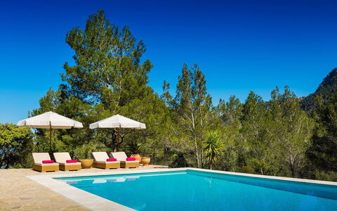 Villa Carlos: Bleu, Piscine, Ombre, Eco Hôtel, Recours, Mélèze, Famille Pine, À Feuilles Persistantes