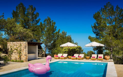 Villa Carlos: Piscine, Recours, Mobilier De Jardin, Eco Hôtel, Balancelle, Ombre, Parapluie, Villa, Tropiques, Hôtel