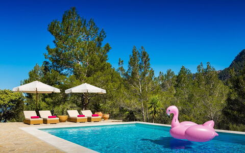 Villa Carlos: Piscine, Loisir, Recours, Mobilier De Jardin, Parapluie, Balancelle, Eco Hôtel, Vacances, Ville Resort, Chaise Longue