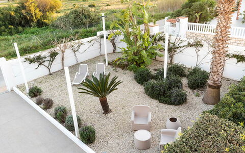Kalimba: Arbuste, Jardin, Pot De Fleur, Aménagement Paysager, Ombre, Plante D'Appartement, Cour, Hacienda