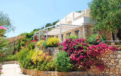 Villa Aspro: Fleur, Arbuste, Jardin, Rose, Printemps, Aménagement Paysager, Cour, Jardin Botanique, Balcon, Villa