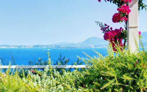 Villa Aspro: Fleur, Bleu, Vert, Végétation, Été, Mer, Cotiers Et Relief Océaniques, Océan, Printemps